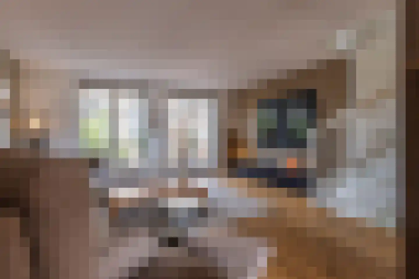 Turfstraat 3 Arnhem thumbnail 36