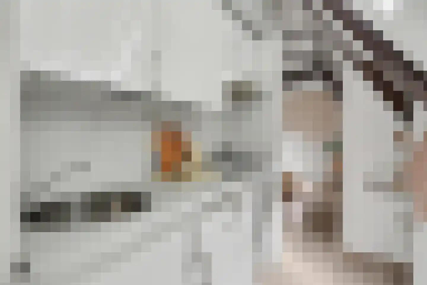 Turfstraat 3 c Zutphen thumbnail 10
