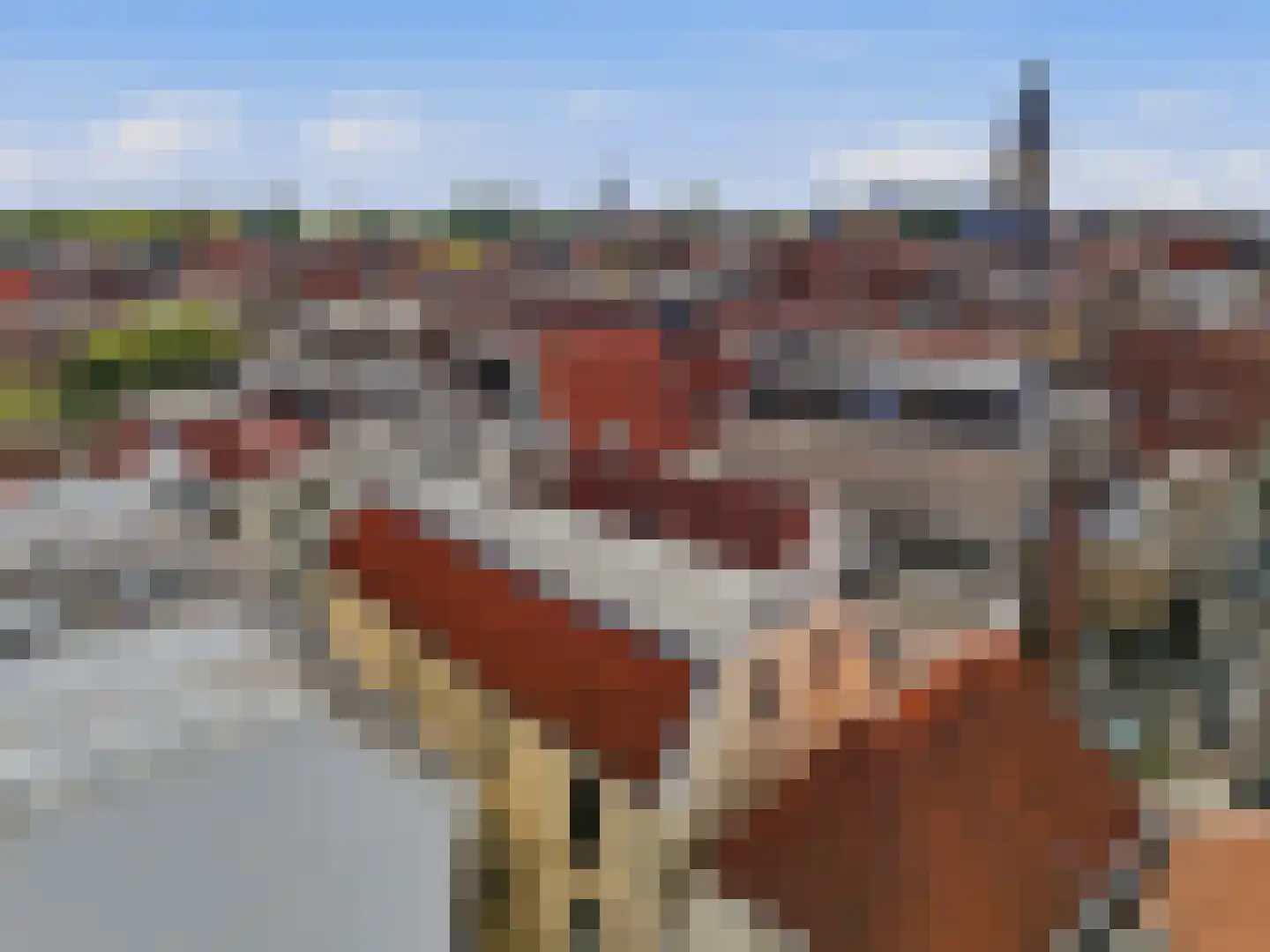 Turfstraat 35 b Zutphen thumbnail 28