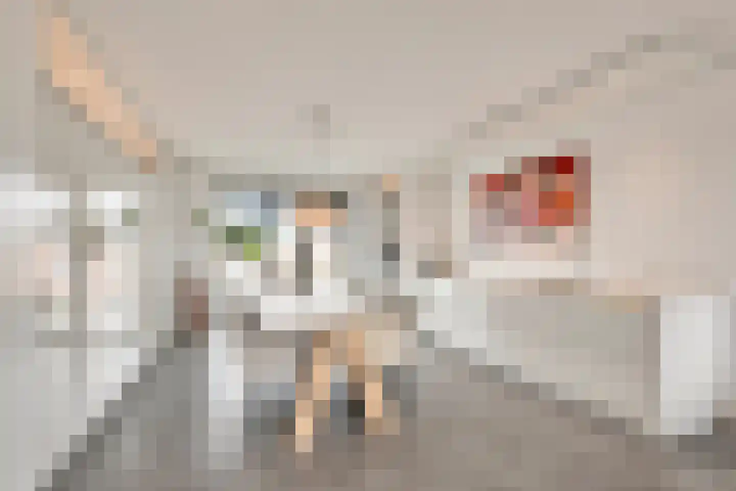 Turfstraat 47 Arnhem thumbnail 15