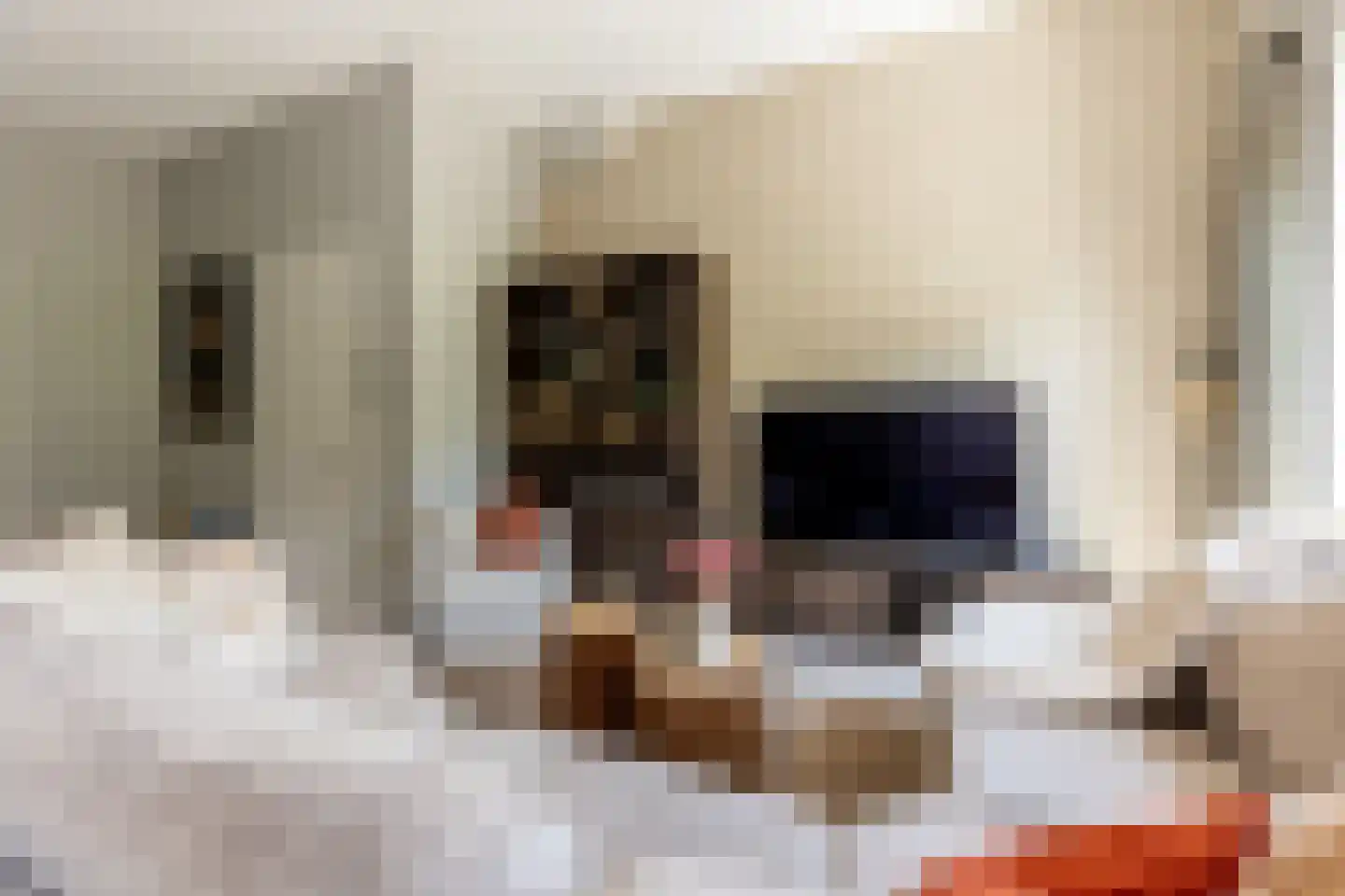 Turfstraat 5 b Brielle thumbnail 12