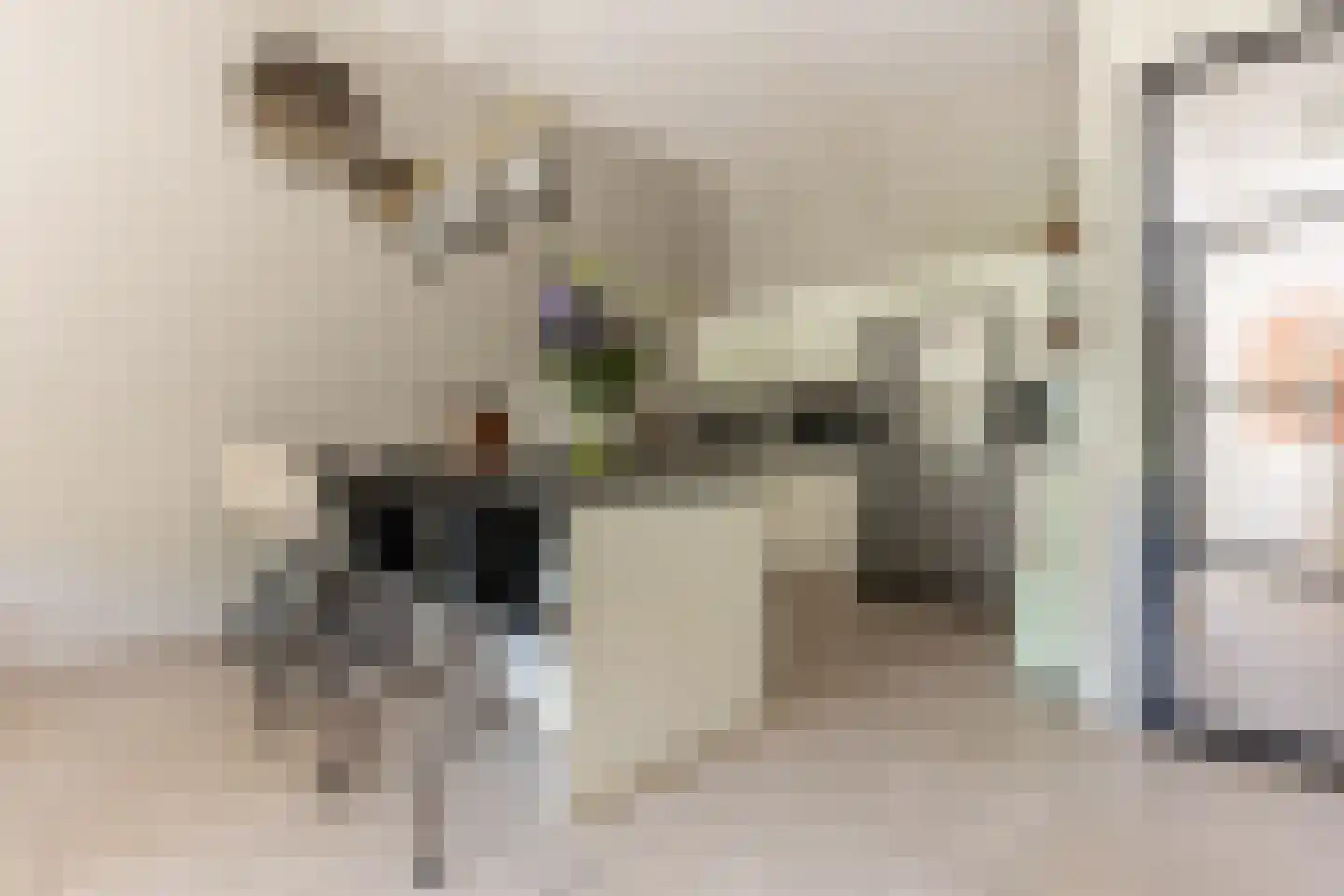 Turfstraat 5 b Brielle thumbnail 14