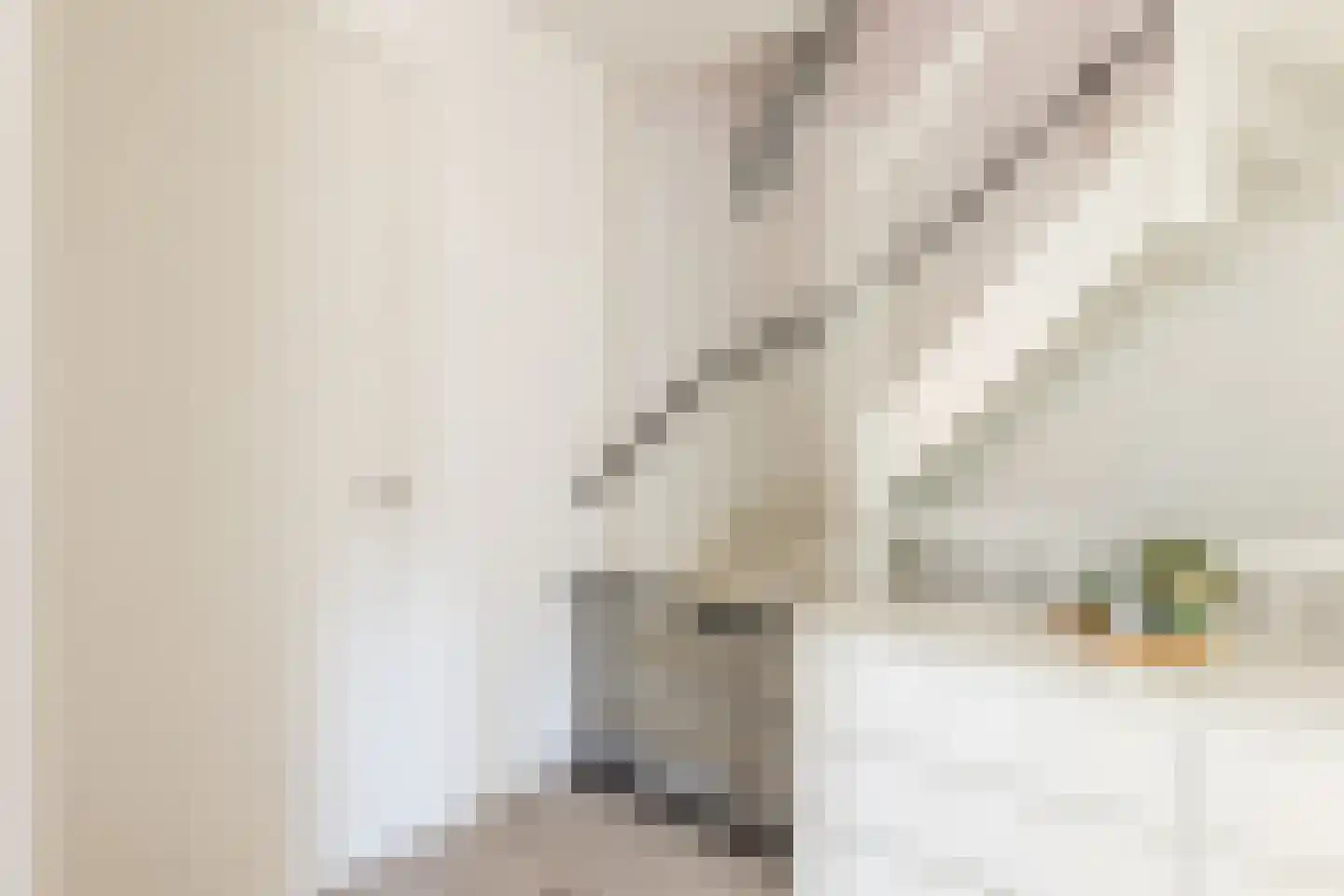 Turfstraat 5 b Brielle thumbnail 31