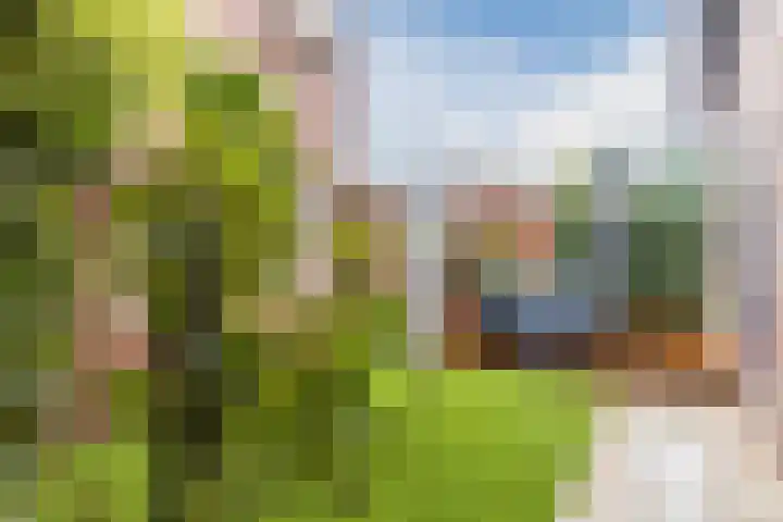 Turfstraat 6 Venlo thumbnail 42