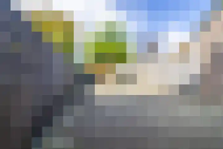 Turfstreek 162 Soest thumbnail 15
