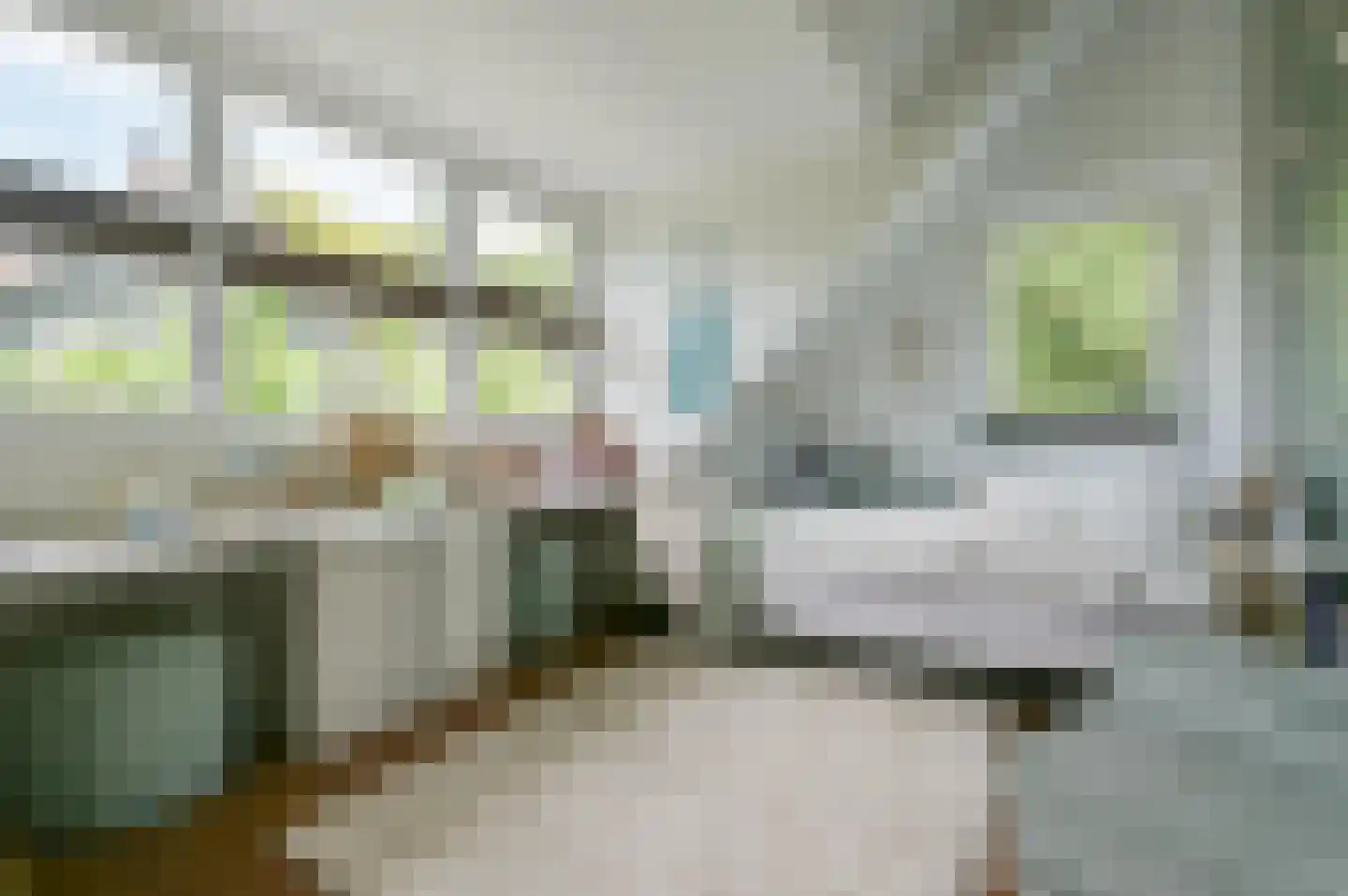 Turfstreek 215 Soest thumbnail 25
