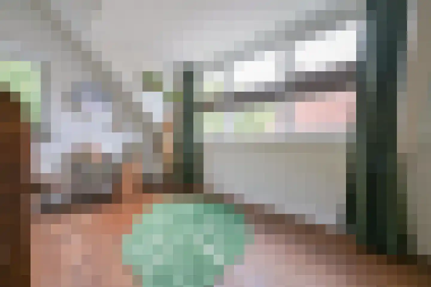 Turfstreek 215 Soest thumbnail 26
