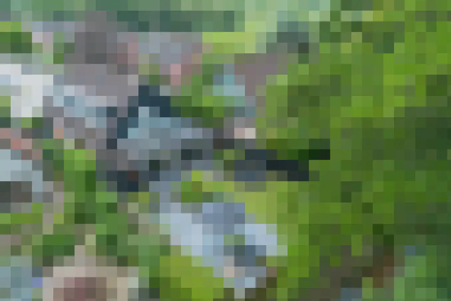 Turfstreek 215 Soest thumbnail 37