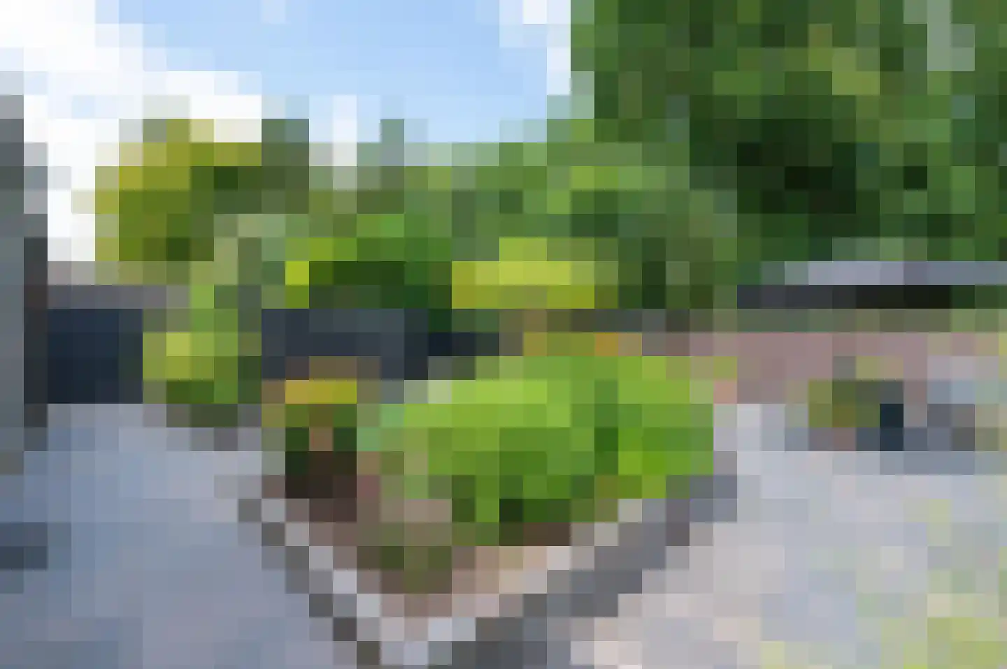 Turfstreek 215 Soest thumbnail 45
