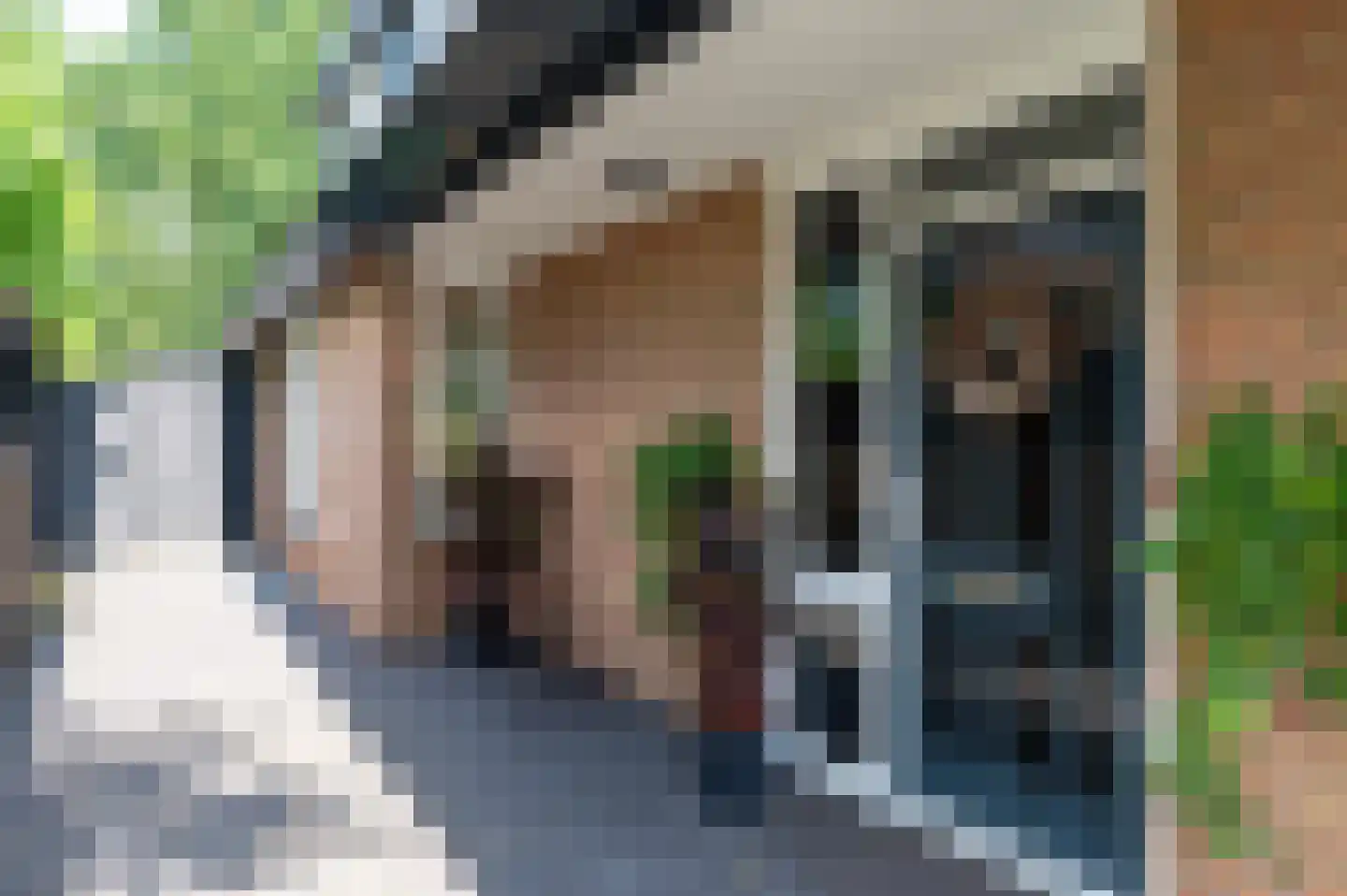 Turfstreek 215 Soest thumbnail 50