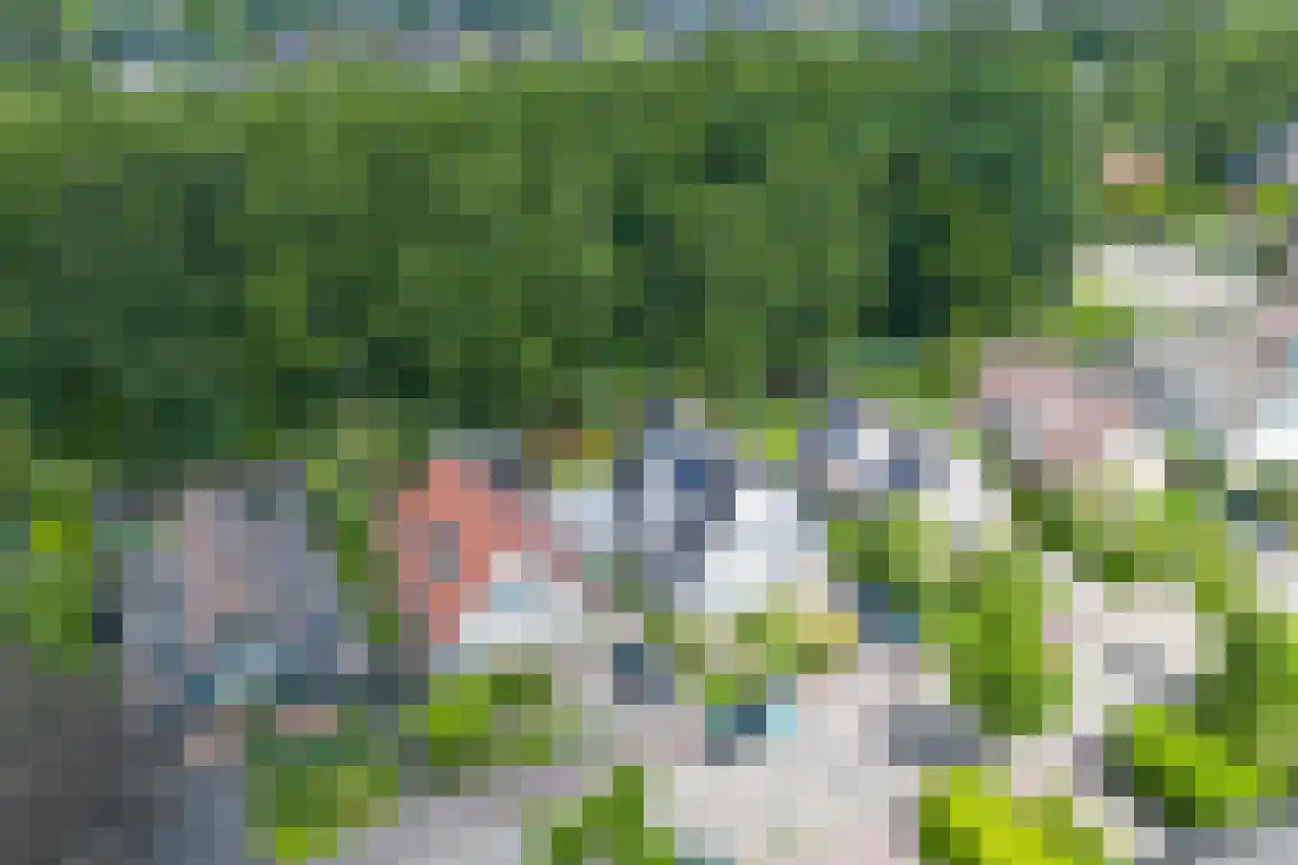 Turfstreek 215 Soest thumbnail 52