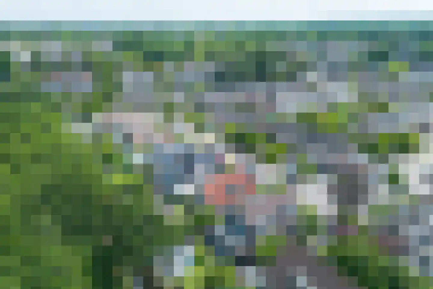 Turfstreek 215 Soest thumbnail 53