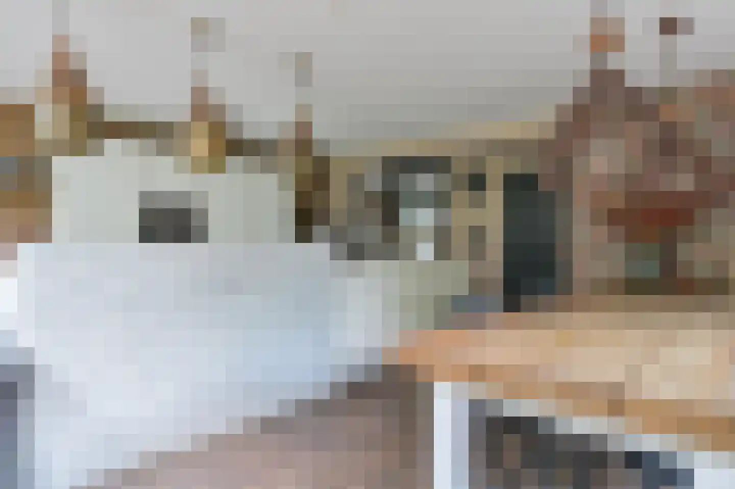 Turfstreek 215 Soest thumbnail 8