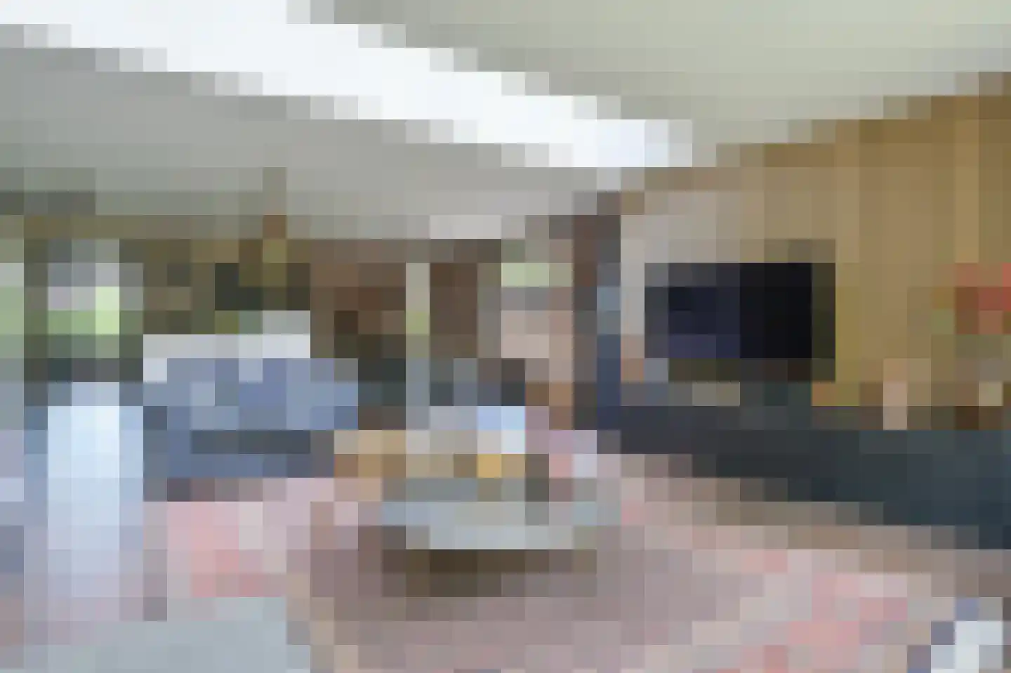 Turfstreek 215 Soest thumbnail 9