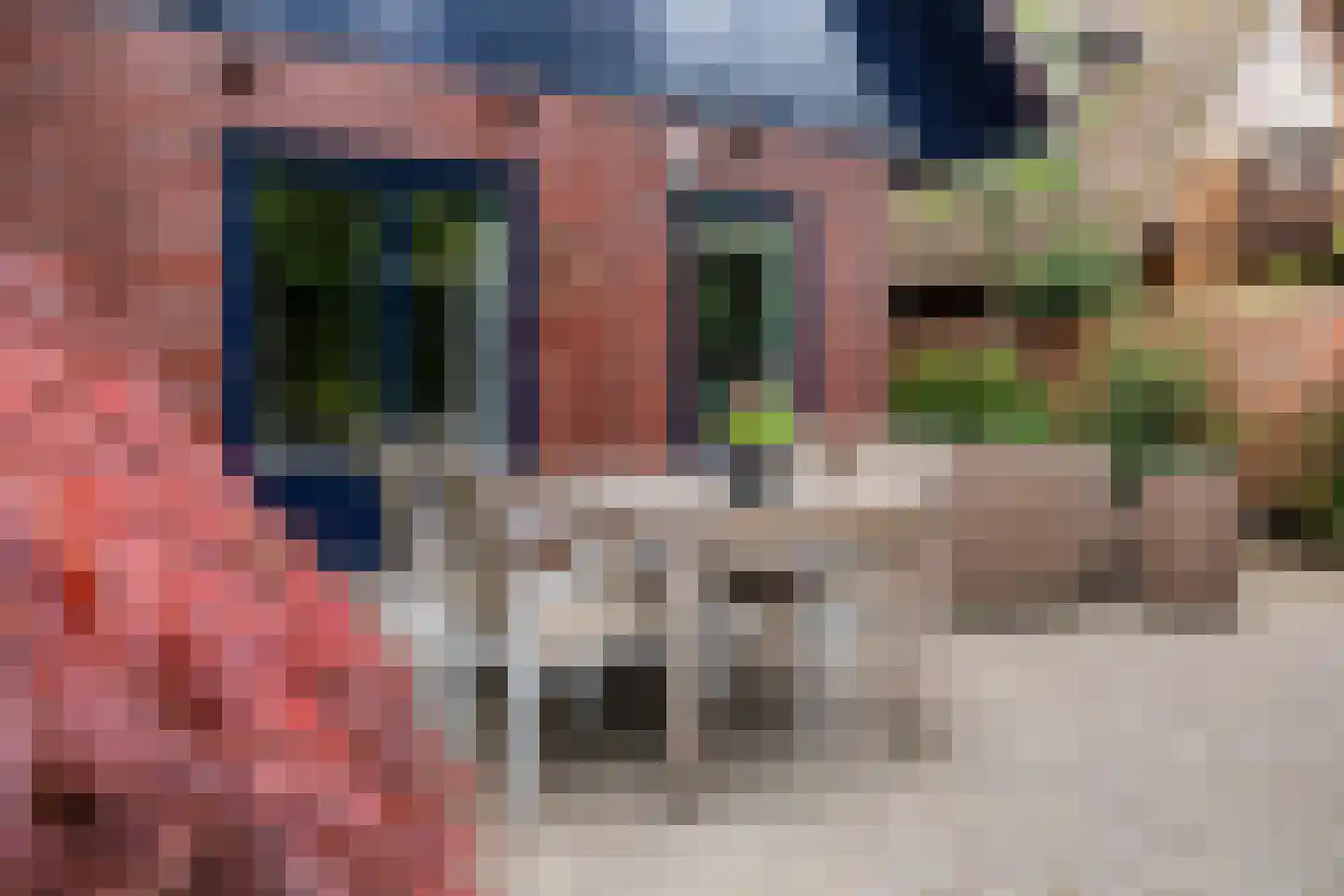 Turfstreek 235 Soest thumbnail 23