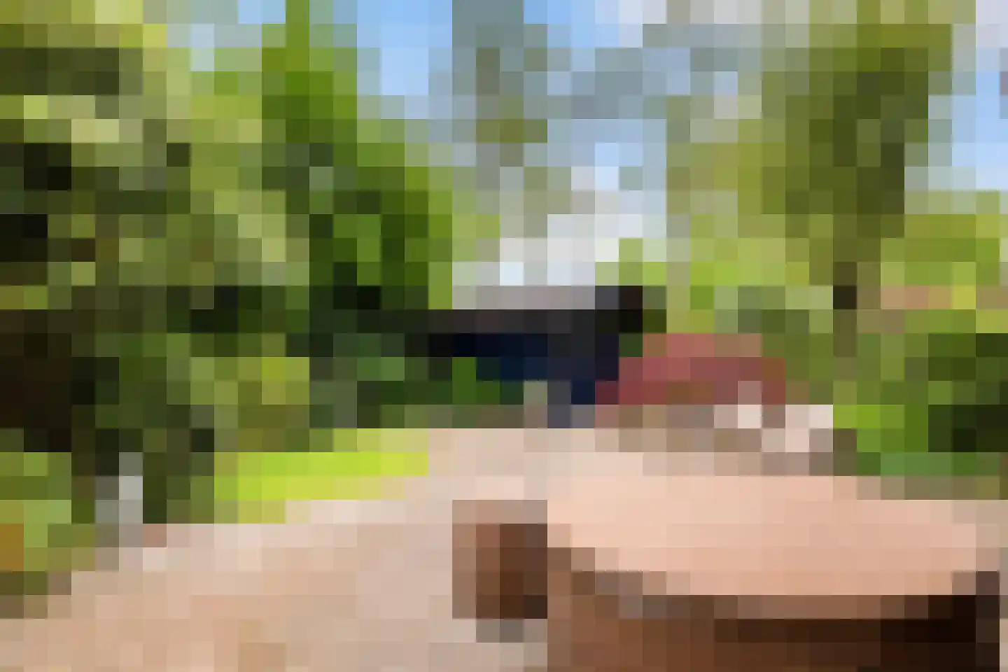 Turfstreek 235 Soest thumbnail 24