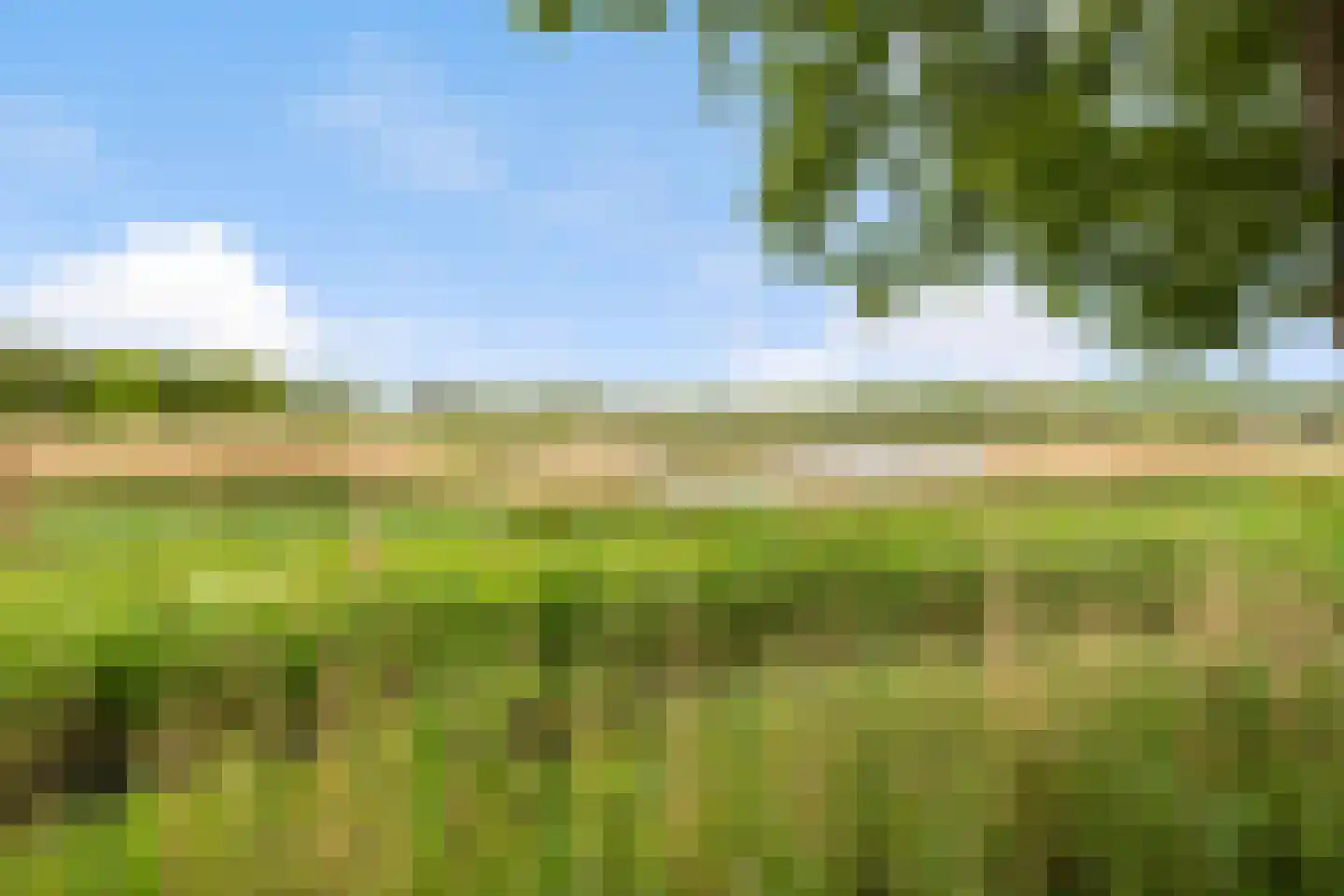 Turfstreek 235 Soest thumbnail 27