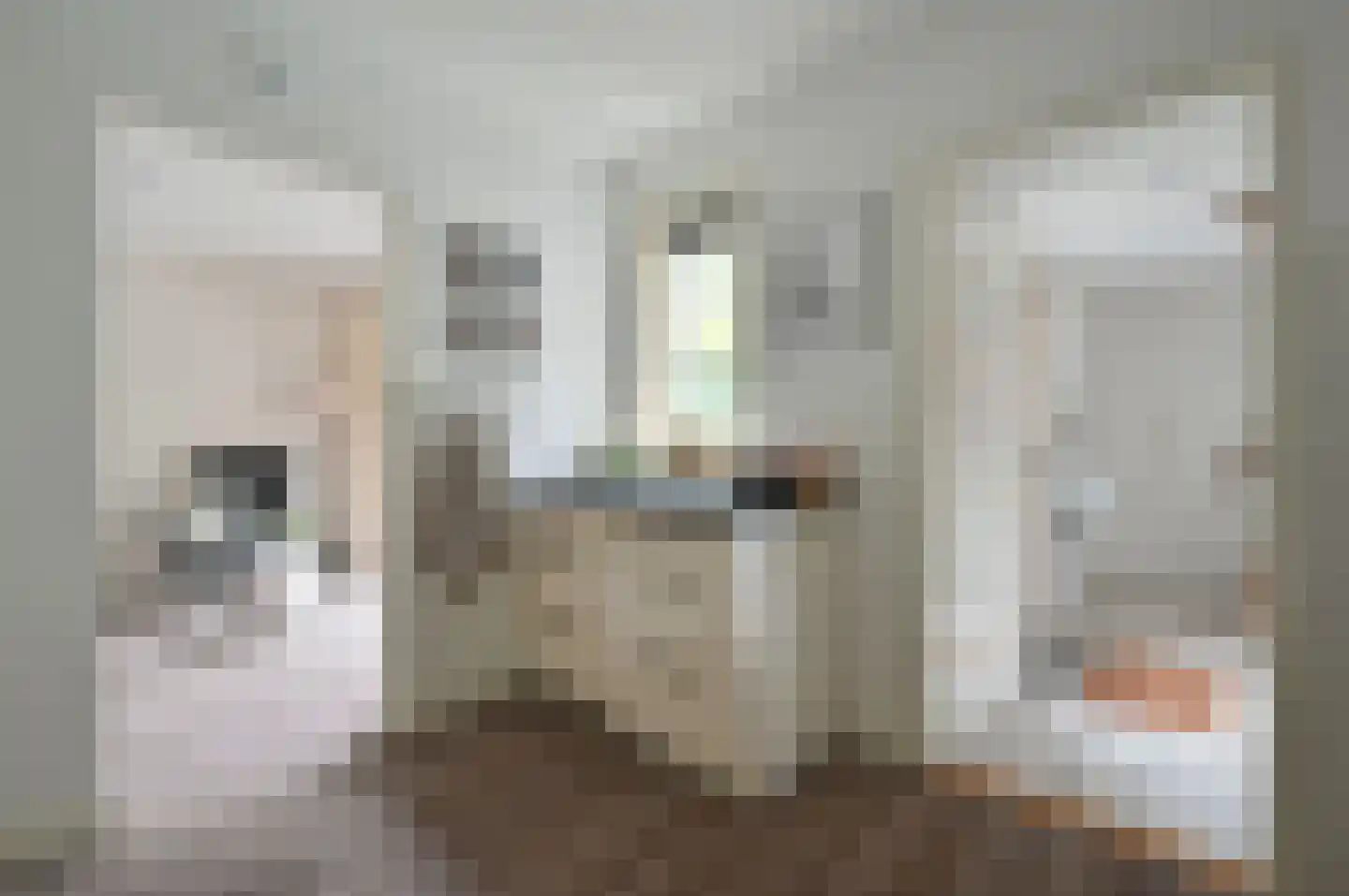 Turfstreek 247 Soest thumbnail 12