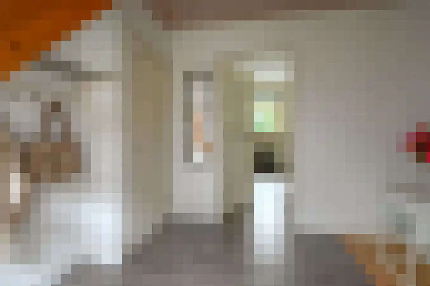 Turfstreek 247 Soest thumbnail 16