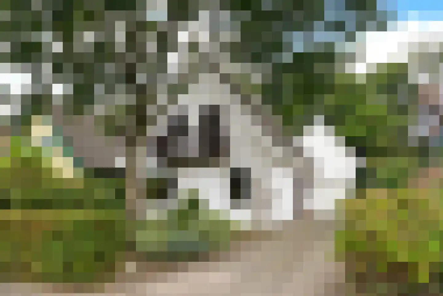 Turfstreek 247 Soest thumbnail 30