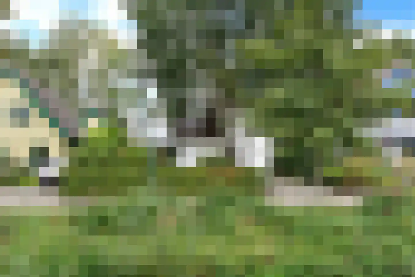 Turfstreek 247 Soest thumbnail 31