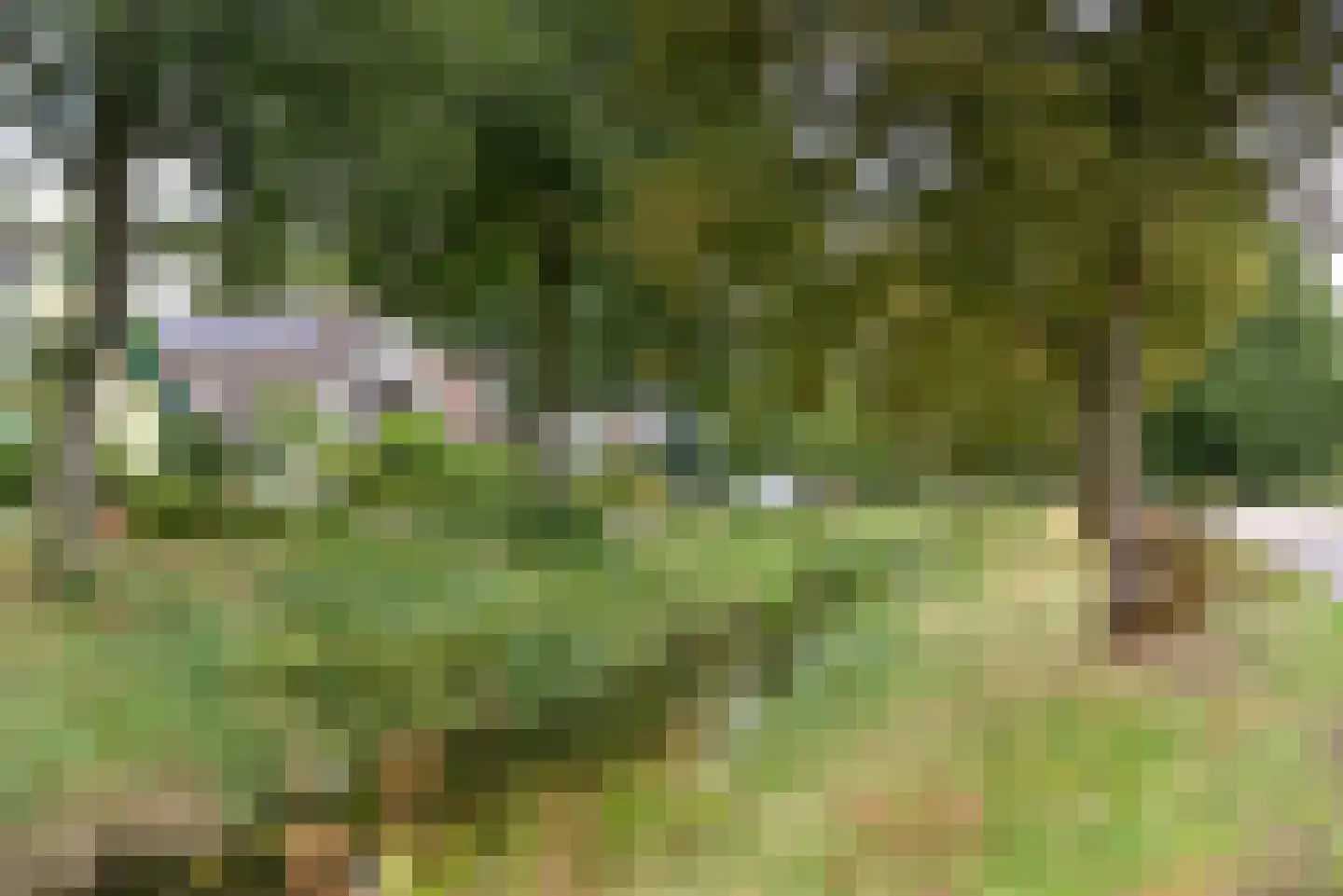 Turfstreek 247 Soest thumbnail 32
