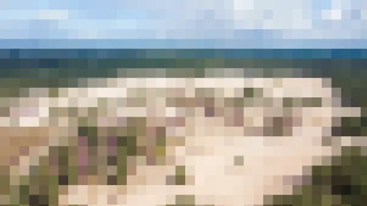 Turfstreek 247 Soest thumbnail 33