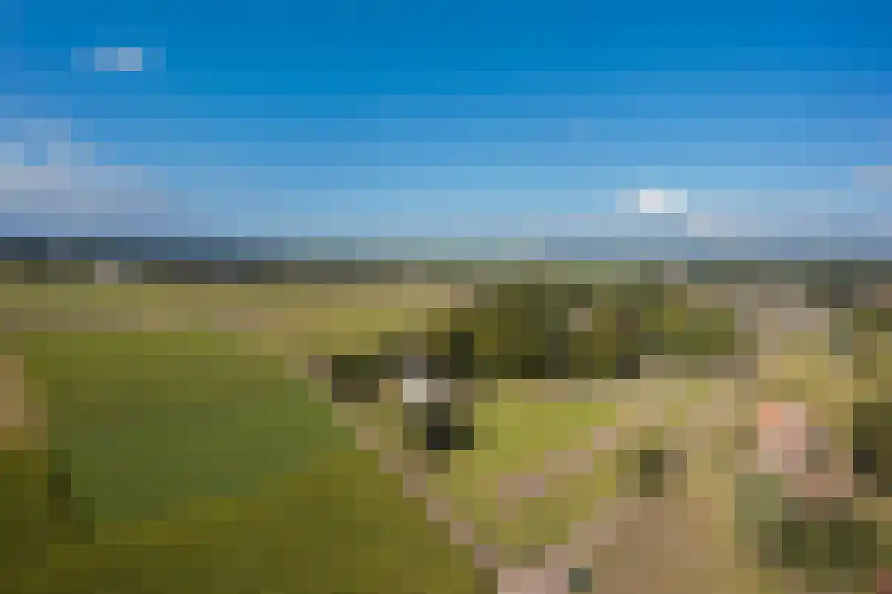 Turfstreek 247 Soest thumbnail 35