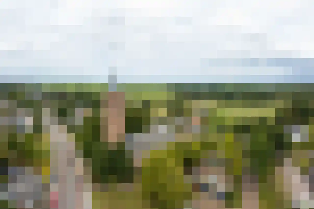 Turfstreek 247 Soest thumbnail 36