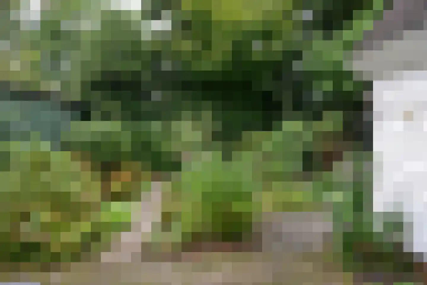 Turfstreek 247 Soest thumbnail 5