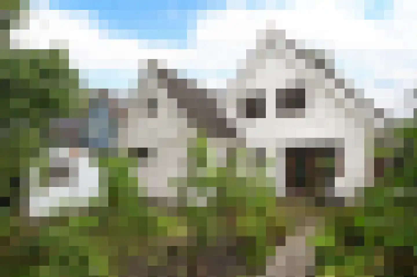 Turfstreek 247 Soest thumbnail 6