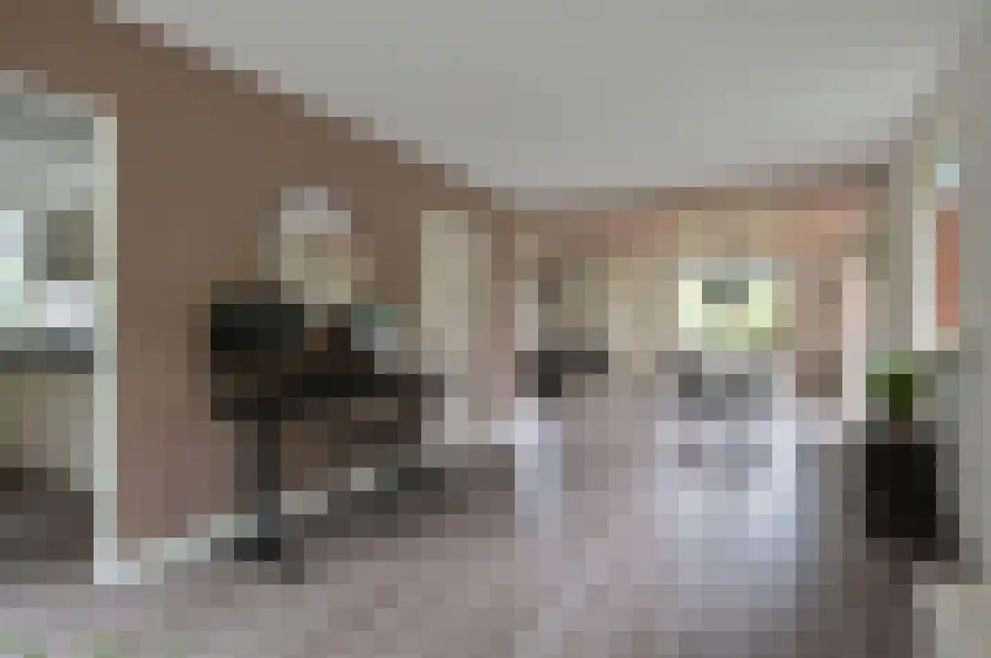 Turfstreek 247 Soest thumbnail 8