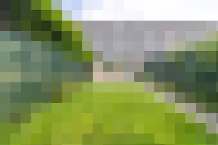 Turfstreek 274 Soest thumbnail 13