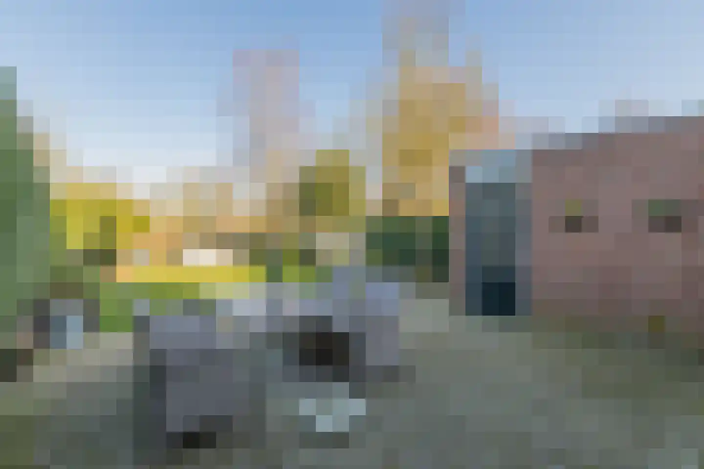 Turfstreek 29 Soest thumbnail 30