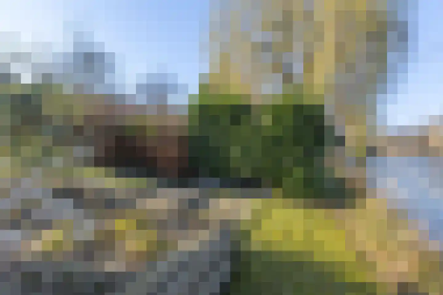 Turfstreek 29 Soest thumbnail 35
