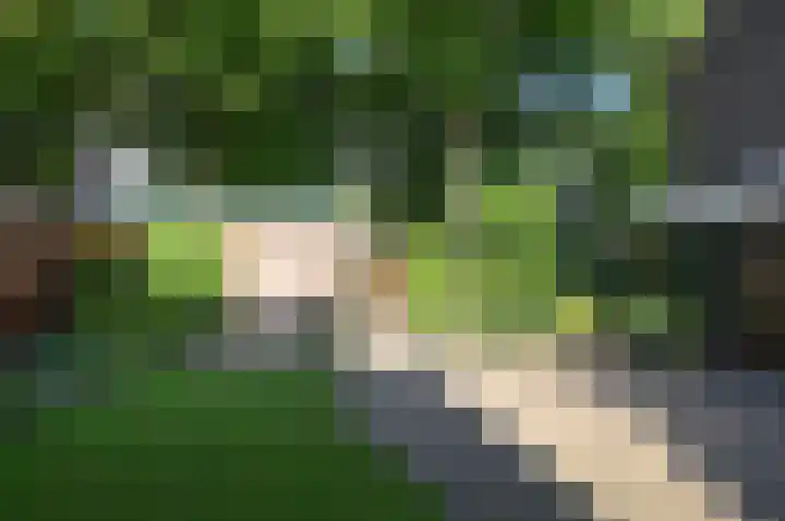 Turfstreek 45 Soest thumbnail 17