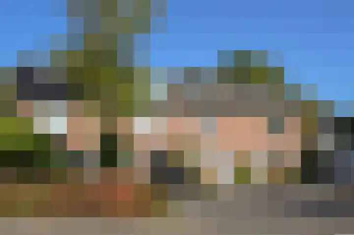 Turfstreek 45 Soest thumbnail 19