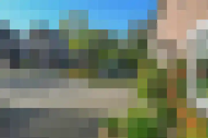 Turfstreek 45 Soest thumbnail 20