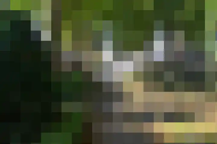 Turfstreek 45 Soest thumbnail 21