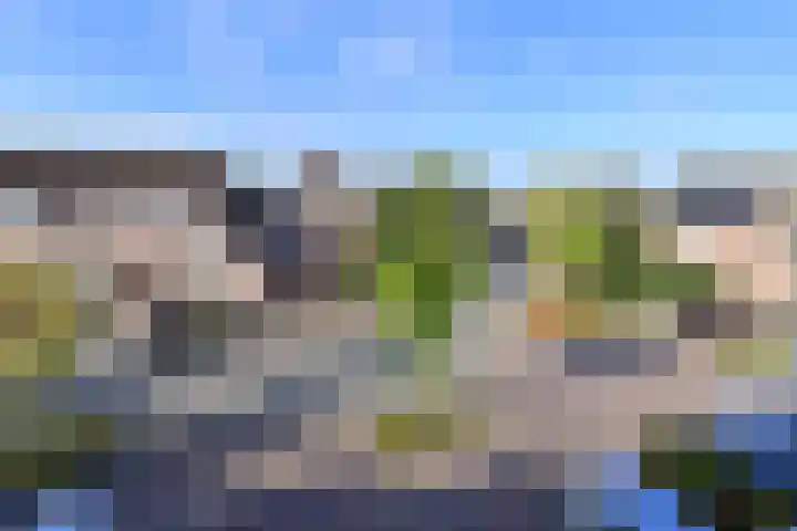 Turfstreek 51 Soest thumbnail 4