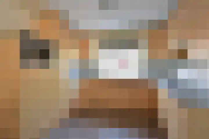 Turfstreek 51 Soest thumbnail 8