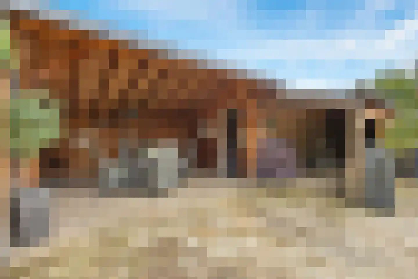 Turfstreek 61 Soest thumbnail 29