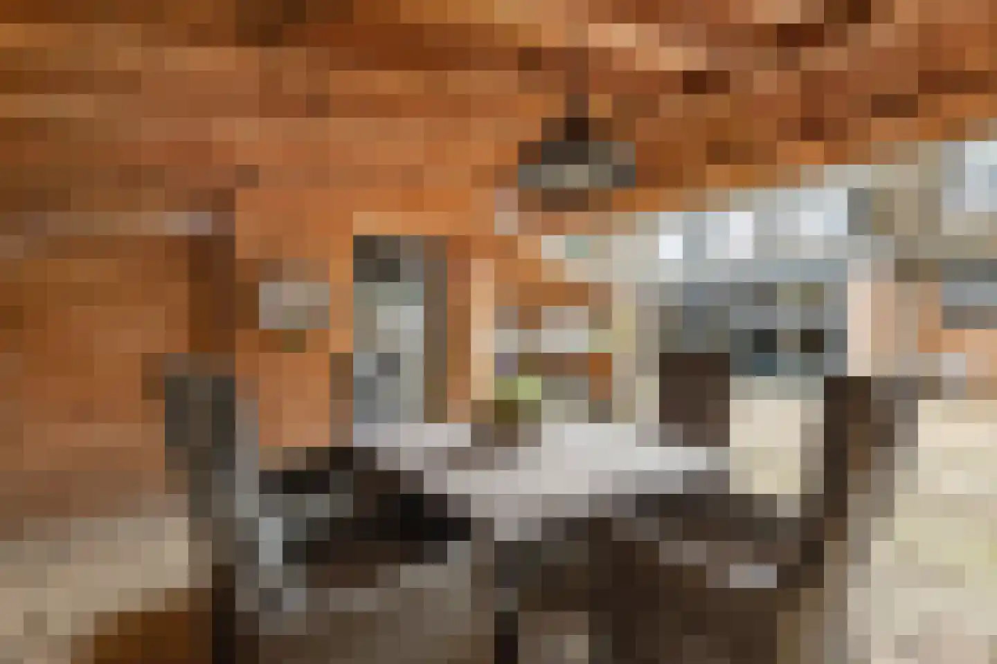 Turfstreek 61 Soest thumbnail 31
