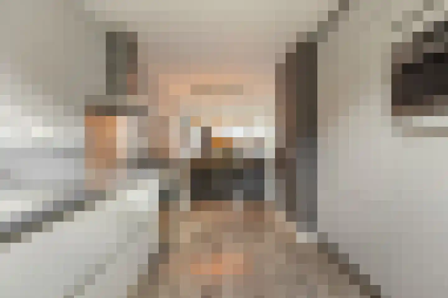 Turfstreek 61 Soest thumbnail 4