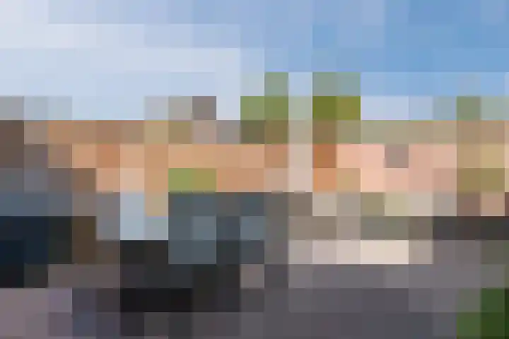 Turfstreek 71 Soest thumbnail 29