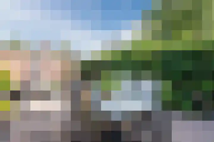 Turfstreek 71 Soest thumbnail 30