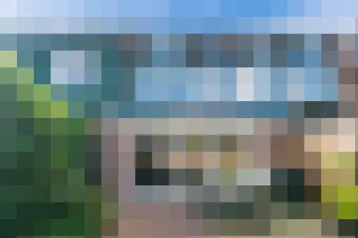 Turfstreek 71 Soest thumbnail 31