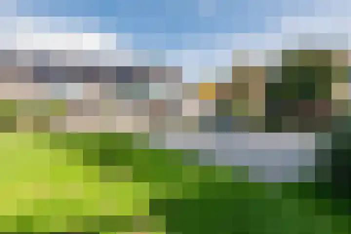 Turfstreek 71 Soest thumbnail 35