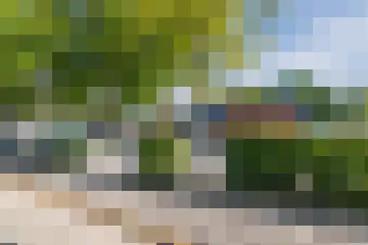 Turfstreek 71 Soest thumbnail 38