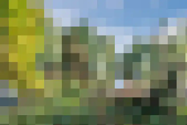Turfstreek 71 Soest thumbnail 39